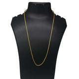 Designer Gold Plated Thin Foxtail Chain