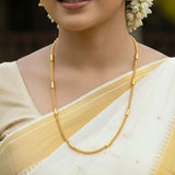 Elegant Gold Plated Mesh Pipe Chain worn elegantly with a traditional saree, showcasing its delicate design and gold shine.