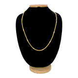 Gold-Plated-Cylindrical-Box-Savitham-Chain-Dmo