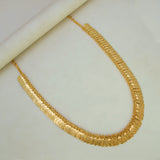 Gold Plated Leaf Design Lakshmi Kasu Long Chain