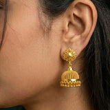 Close-up of a person wearing a gold earring with intricate design.