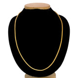 Versatile Gold Plated Designer Foxtail Chain
