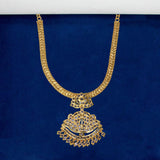 Alluring Gold Plated Adial Stone Pendant Necklace - KSupreme