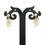 Trendy Gold Plated Crystal Drop Earrings - K Supreme