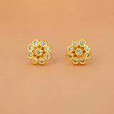 Gold-Plated-Sparkle-CZ-Blossom-Ear-Studs