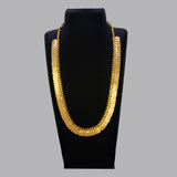 Gold Plated Leaf Design Lakshmi Kasu Long Chain