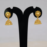 Simple Gold Foamed Jhumka Earrings